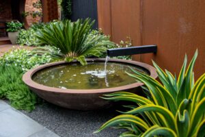 Circular concrete water feature with fountain spout surrounded by spider plants and ferns in Brighton East courtyard