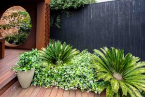 Corten steel pergola with circular window feature over timber decking in modern Brighton East courtyard garden