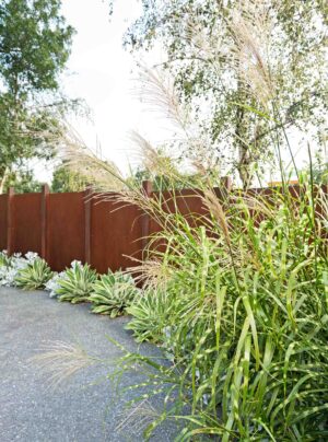 Ornamental grasses with feathery plumes and low succulents planted along corten steel edging beside concrete paving