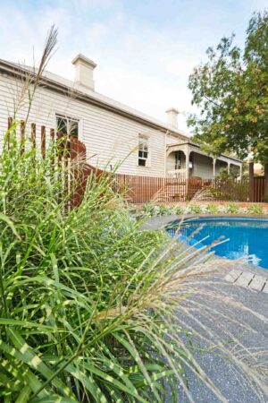Circular blue pool surrounded by ornamental grasses and modern landscaping in Hawthorn residential backyard