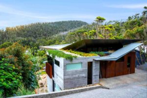 Modern home with native grass green roof and corten steel terracing set into coastal bushland at Separation Creek