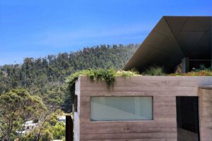 Horizontal timber cladding with ribbon window and green roof garden overlooking forested coastal hills at Separation Creek
