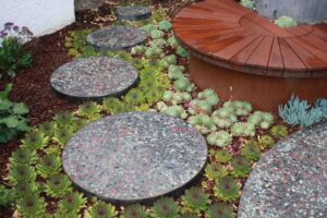 Circular concrete stepping stones with red aggregate weaving through succulent plantings in Malvern East family garden