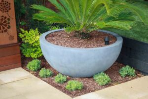 Large grey concrete bowl planter with cycad and corten steel bottle tree sculpture in Malvern East family garden