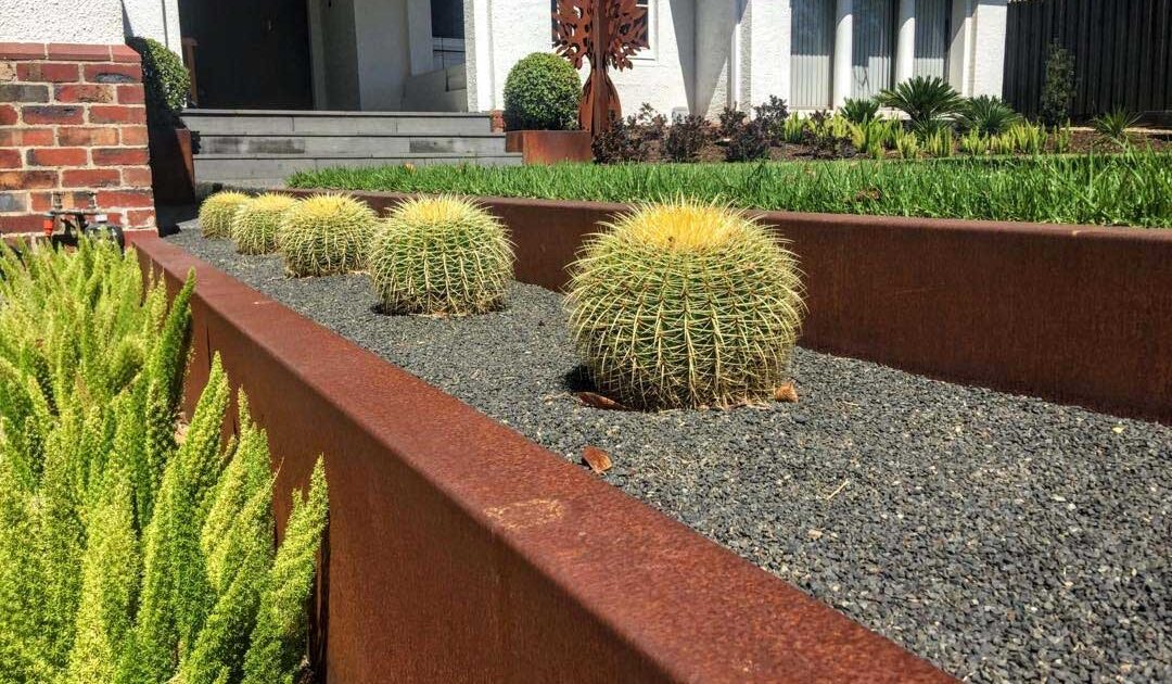 Barrel cacti planted in grey gravel within custom corten steel raised planters at Malvern East family garden