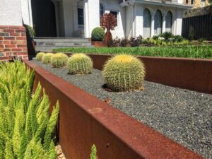 Barrel cacti planted in grey gravel within custom corten steel raised planters at Malvern East family garden