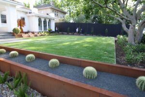 Raised corten steel planter with barrel cacti bordering large lawn area in contemporary Malvern East family garden