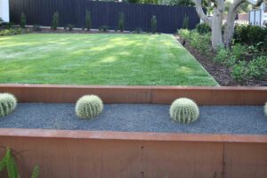 Tiered lawn design with corten steel retaining walls and barrel cacti planted in gravel beds at Malvern East residence