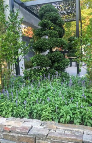 Purple flowering groundcover beneath moon gate structure and topiary spheres in Mandala Moon Gate Garden, Nagasaki Japan