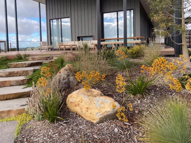 Native shrubs and flowering perennials planted among boulders beside modern dark-clad residence in Gisborne.