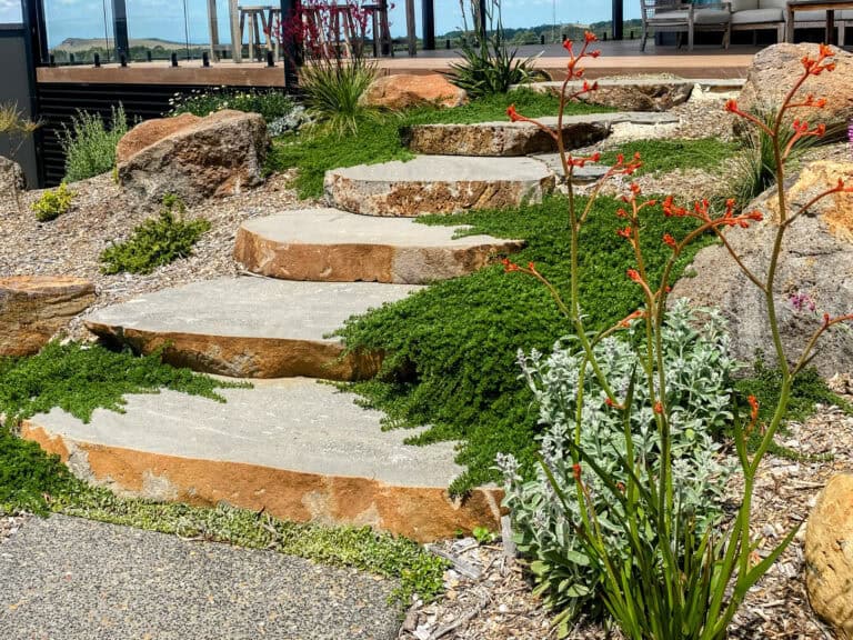 Natural stone terrace steps set within planting at Gisborne residence garden.