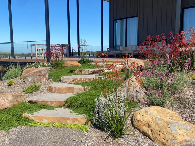 Broad natural stone steps transitioning from garden planting to elevated deck at Gisborne home.