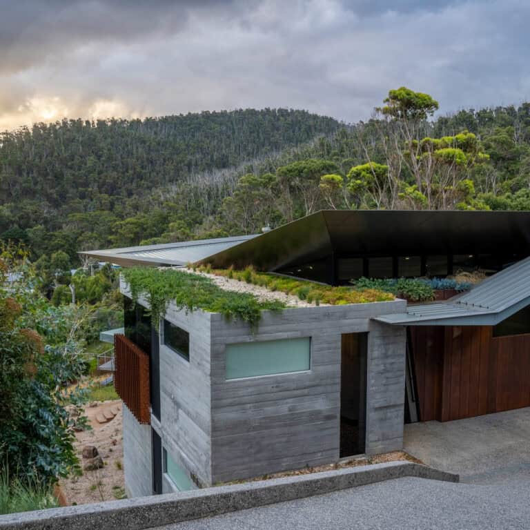 Concrete coastal residence with planted green rooftop of native grasses and succulents blending into bushland hillside.