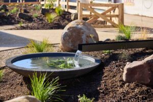 Circular black water feature with spout and lily pads surrounded by native grasses and basalt boulders in Daylesford garden