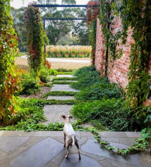 Stone stepping path under timber pergola with climbing vines and cottage garden beds, rural Victoria landscaping