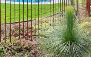 Large native grass plant beside steel rod pool fencing with colorful wildflowers at Mount Buninyong country garden
