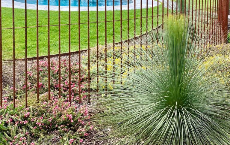 Large native grass plant beside steel rod pool fencing with colorful wildflowers at Mount Buninyong country garden