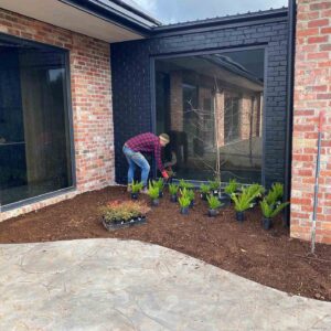Person in plaid shirt planting native shrubs from black pots in prepared soil bed at Mount Buninyong country property