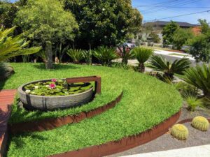 Circular pond with water lilies set into curved lawn terraces bordered by corten steel edging in residential garden