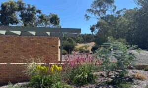 Modern brick pavilion with steel pergola frame surrounded by colorful native plantings and gravel pathways