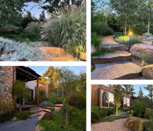 Contemporary landscape garden featuring native plantings, natural stone pathways, and integrated lighting with modern architecture