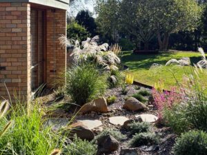 Ornamental grasses with feathery seed heads planted alongside corten steel edging and natural stone boulders in modern garden design
