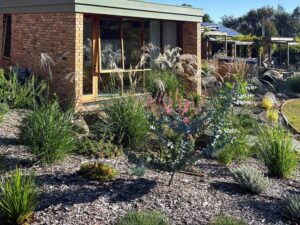Native grasses and perennials planted in exposed aggregate mulch beside modern brick home with large windows