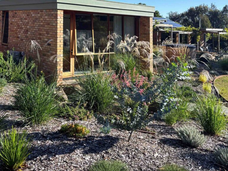 Native grasses and perennials planted in exposed aggregate mulch beside modern brick home with large windows