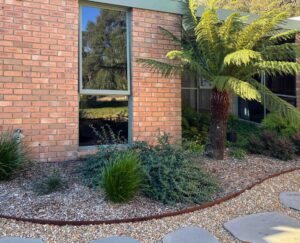 Tree fern with large fronds surrounded by native grasses and groundcovers against brick building with large windows